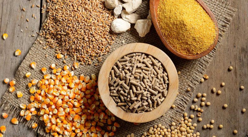 روش های اصولی نگهداری خوراک دام